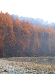 c0097856_2316077.jpg