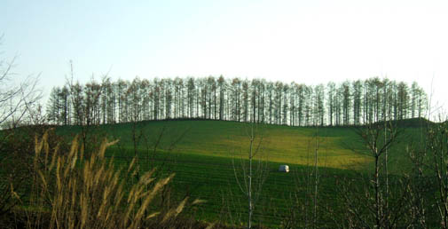 c0097856_23244739.jpg