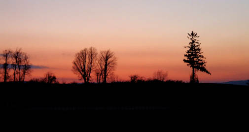 c0097856_23263360.jpg