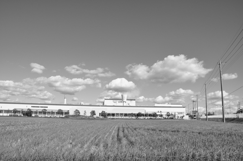 f0065556_827543.jpg