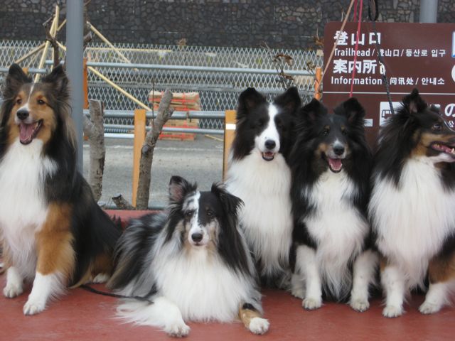 f0130760_2235551.jpg