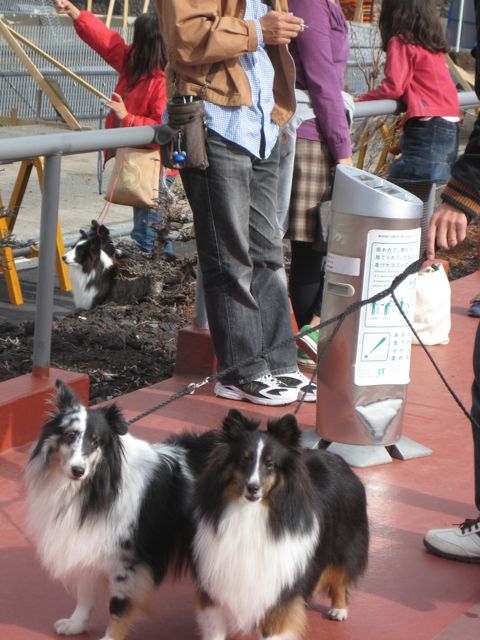 f0130760_22383948.jpg