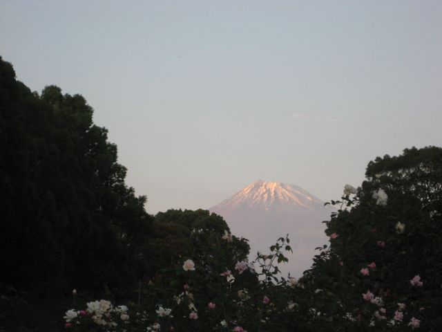 f0130760_22432266.jpg