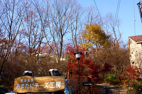c0107861_1717989.jpg