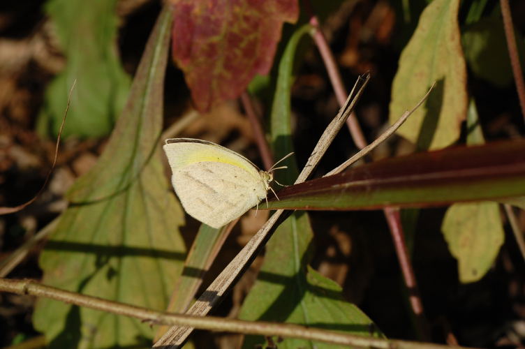 b0167762_14132481.jpg