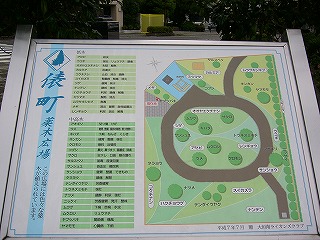 f0106664_7104918.jpg