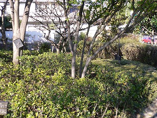 f0106664_763739.jpg