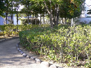 f0106664_765358.jpg