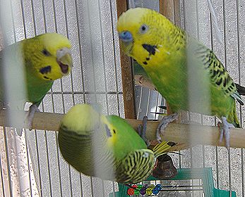 f0196665_13545.jpg