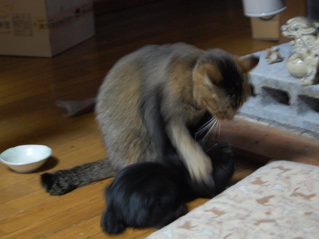 a0038370_19543829.jpg