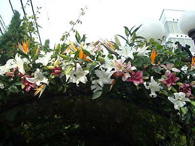 e0097770_8555731.jpg