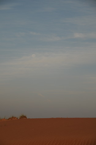 e0066474_2019041.jpg