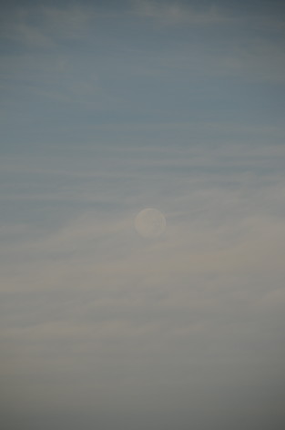 e0066474_20195186.jpg