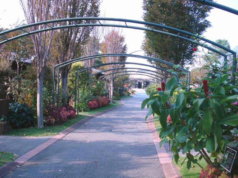 f0165677_21571526.jpg