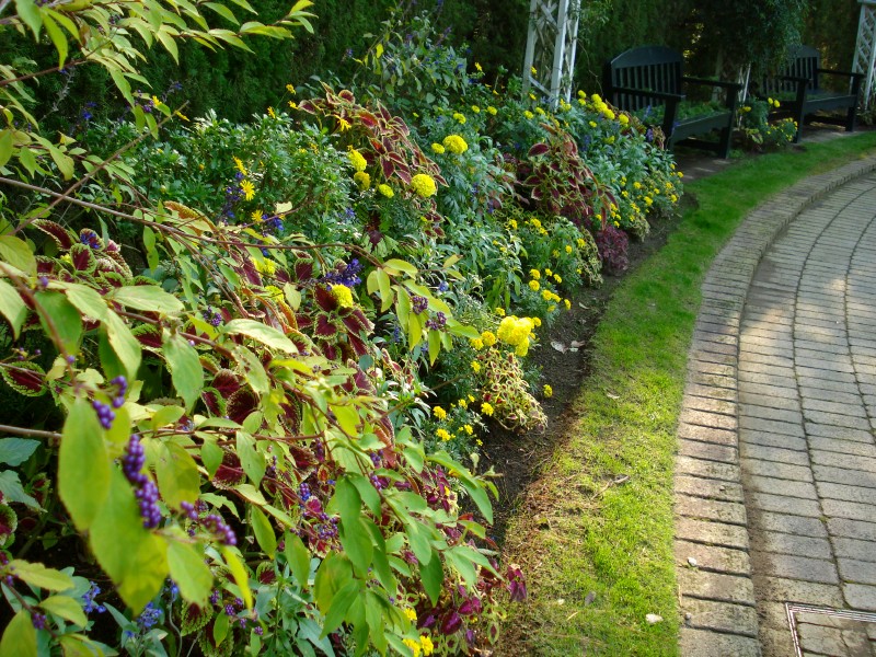 f0165677_21574415.jpg