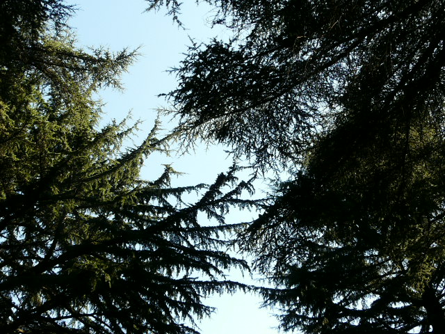 e0145782_17595825.jpg