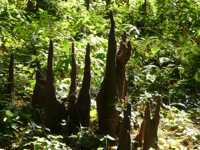 e0145782_1801892.jpg