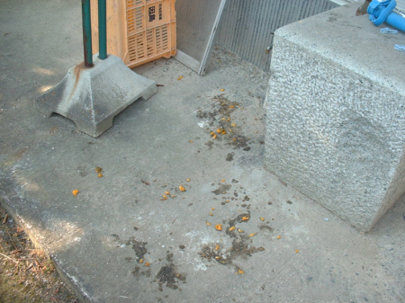 c0120585_1513640.jpg