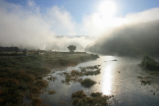 e0190885_1834393.jpg