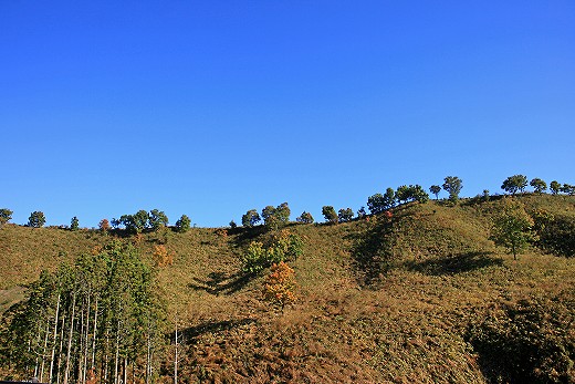 e0190885_1835364.jpg
