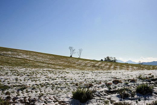 e0190885_1835596.jpg