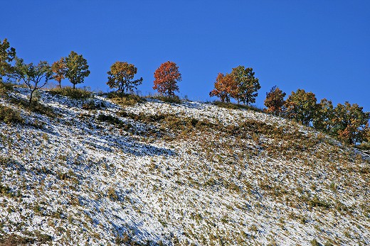 e0190885_18363725.jpg