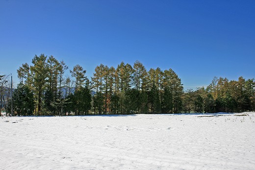 e0190885_18372852.jpg