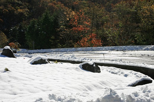 e0190885_18381364.jpg