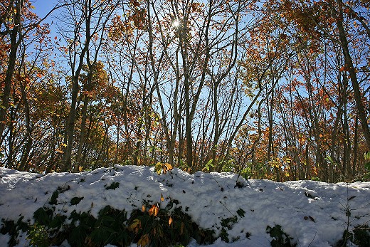 e0190885_1838623.jpg