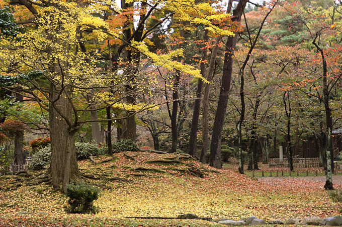 b0067789_14551022.jpg