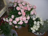 b0128589_735353.jpg