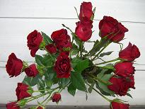 b0128589_7364883.jpg