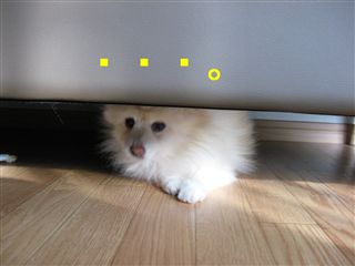 e0121589_1981393.jpg