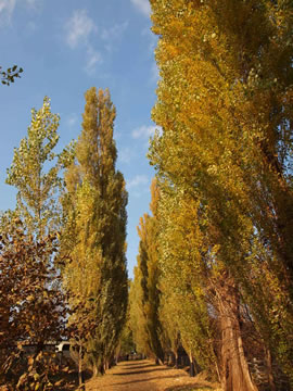 e0148889_21162167.jpg