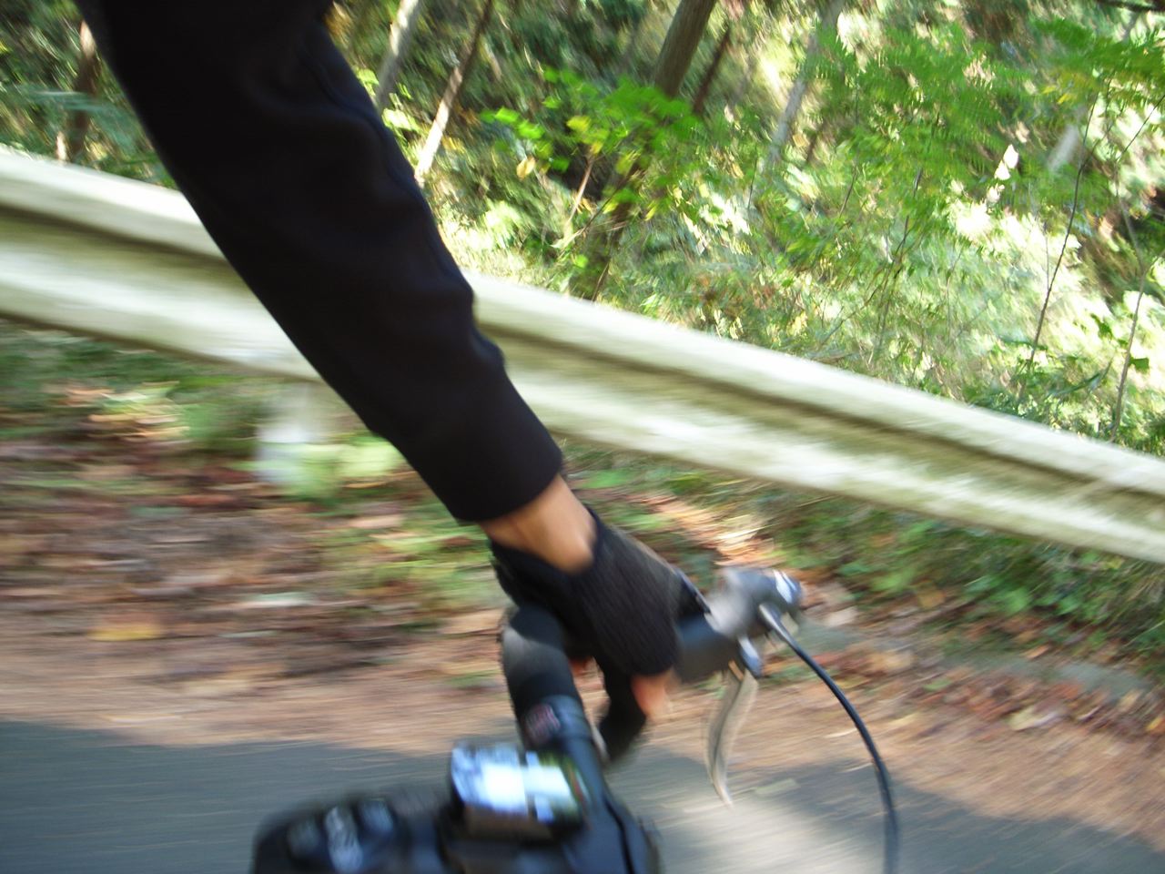 c0190391_20214055.jpg