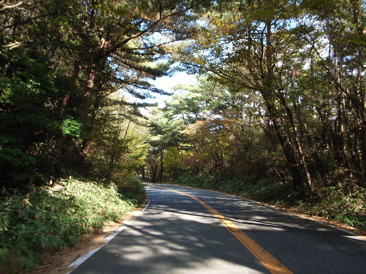c0190391_20224540.jpg