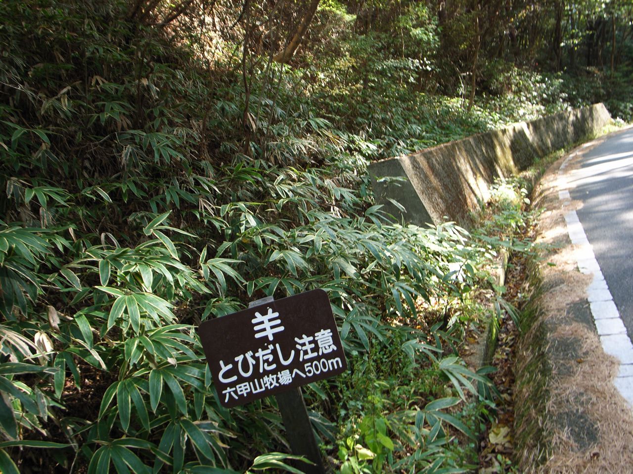 c0190391_20235870.jpg