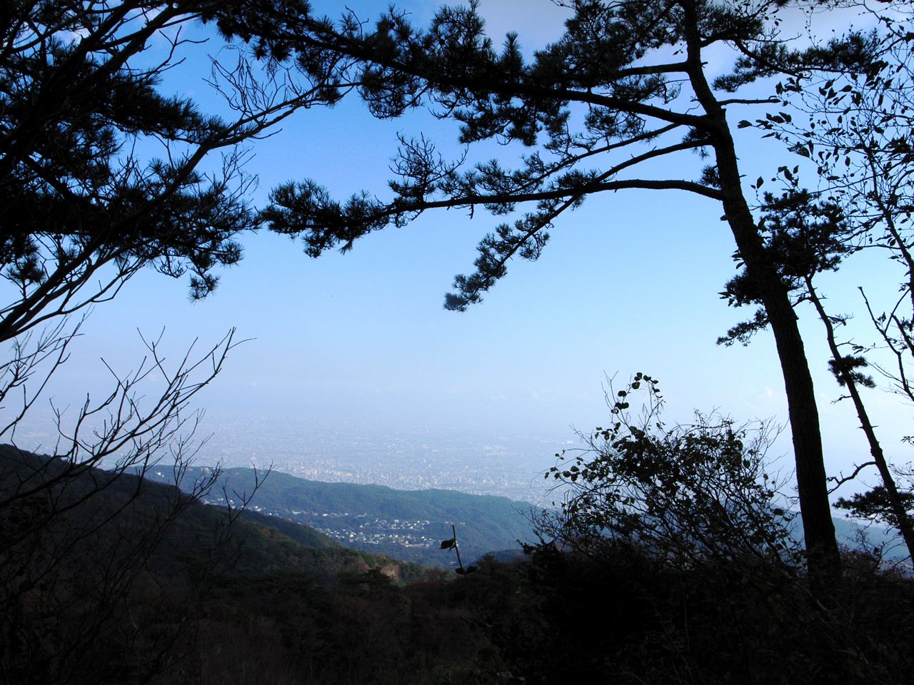 c0190391_20321931.jpg