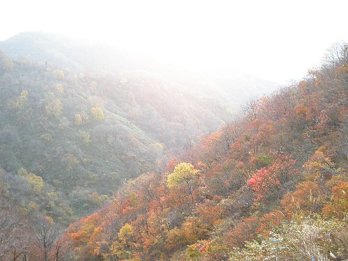 f0125091_20194428.jpg