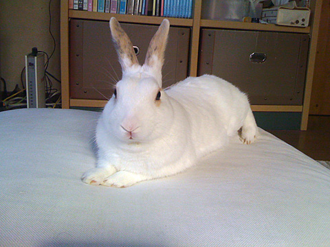 f0201191_19435324.jpg