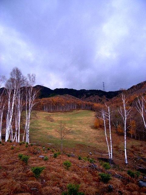 a0093592_2321936.jpg