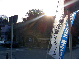 a0103293_8442752.jpg