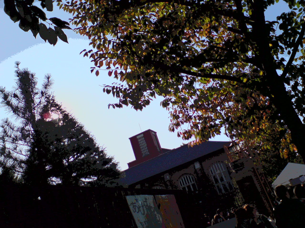f0098094_1644304.jpg