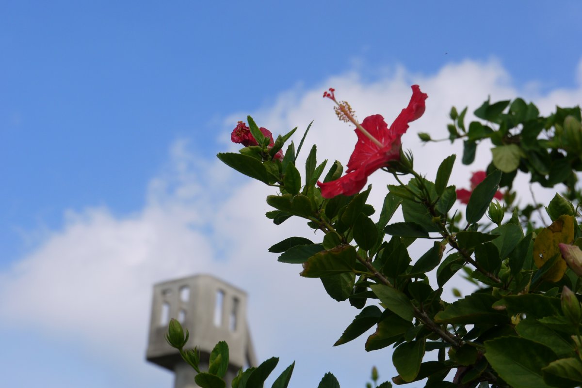 c0124795_0573592.jpg