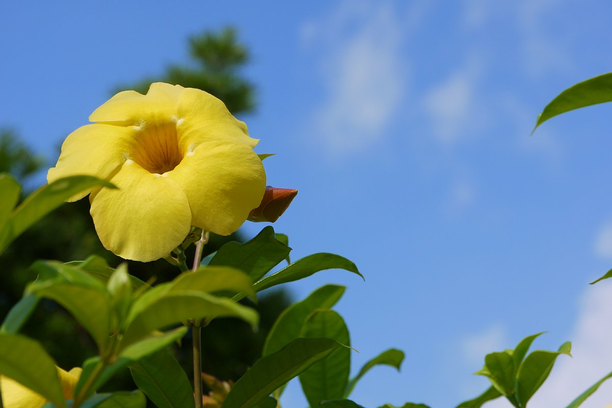 c0124795_05777.jpg