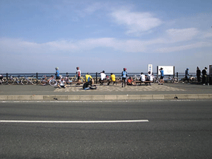 b0174996_16594572.gif