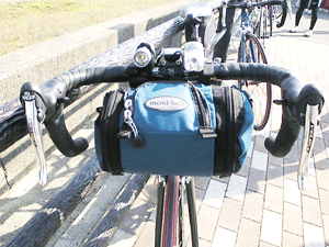 b0174996_1752639.gif