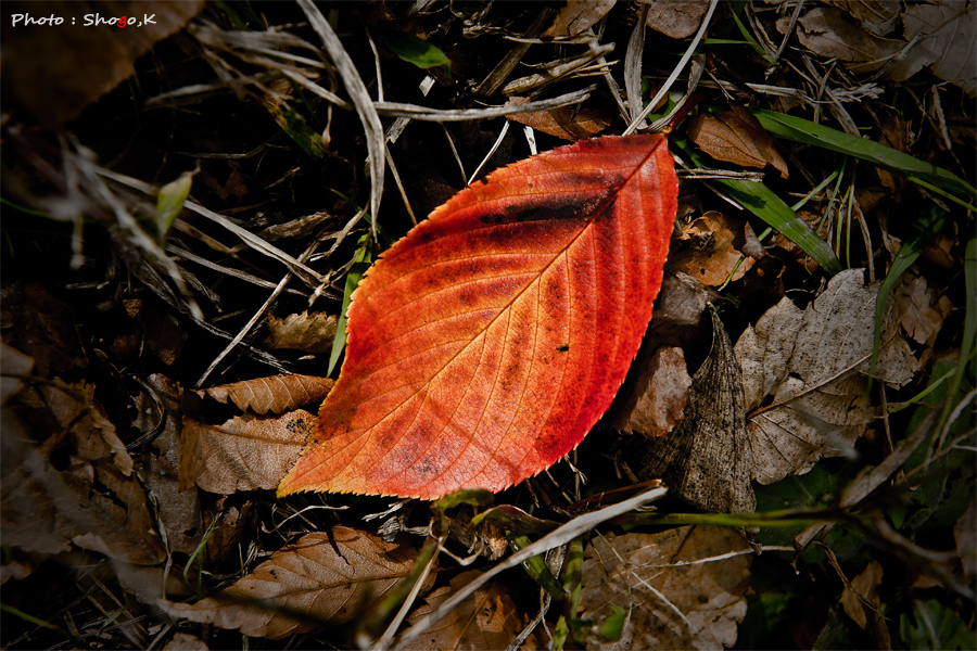 f0186496_22515251.jpg