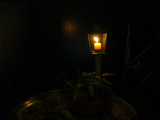 a0126497_9315099.jpg