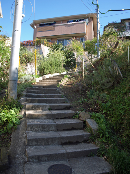 b0075797_9315635.jpg